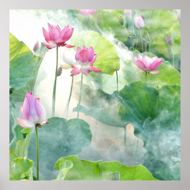 Lotus Summer, pastel rosa Aquatic perennial Poster (Framsidan)
