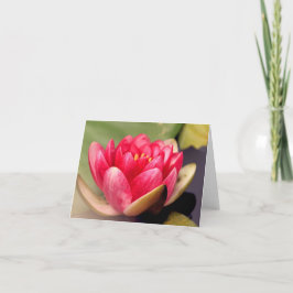 Lotus Tillfällen Notecard Tack Kort