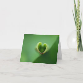 Lotus Tillfällen Notecard Tack Kort