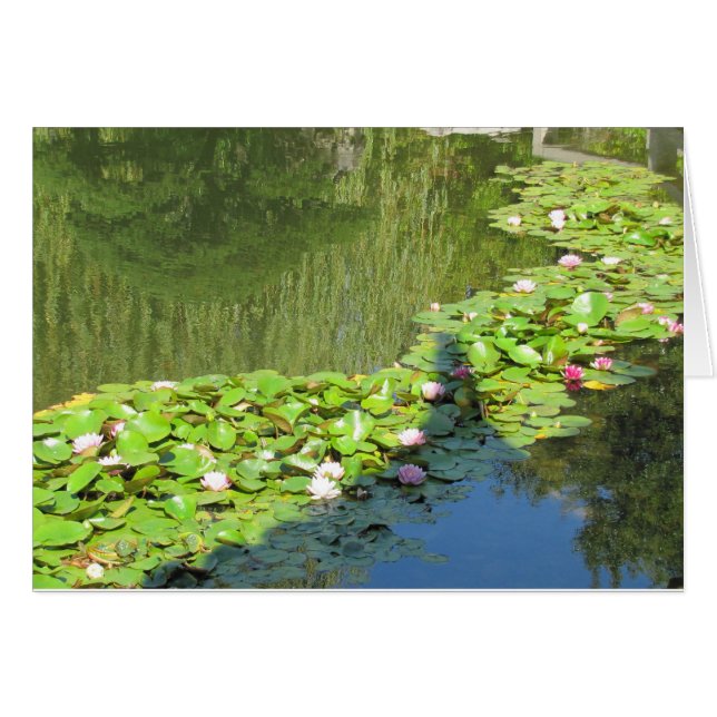 Lotus Väg OBS Kort (Framsidan Horizontal)