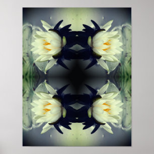 Lotus Vatten Lily Flower Spegel Abstrakt Art Poster