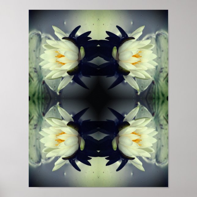 Lotus Vatten Lily Flower Spegel Abstrakt Art Poster (Framsidan)