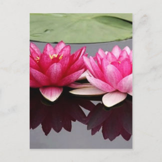 lotus vykort