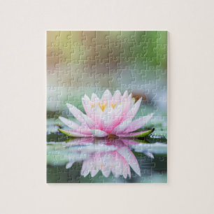 LOTUS - ZEN BUDDHISM PUSSEL