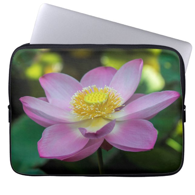 Lotusblomma blommar, Indonesien Laptop Fodral (Framsidan)