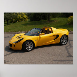 Lotusblomma Elise Poster