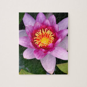 Lotusblomma Foto Pussel