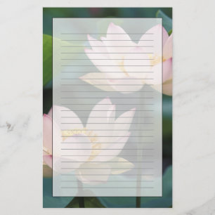Lotusblomma i blom, Kina Brevpapper