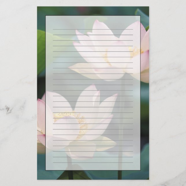 Lotusblomma i blom, Kina Brevpapper (Framsida)