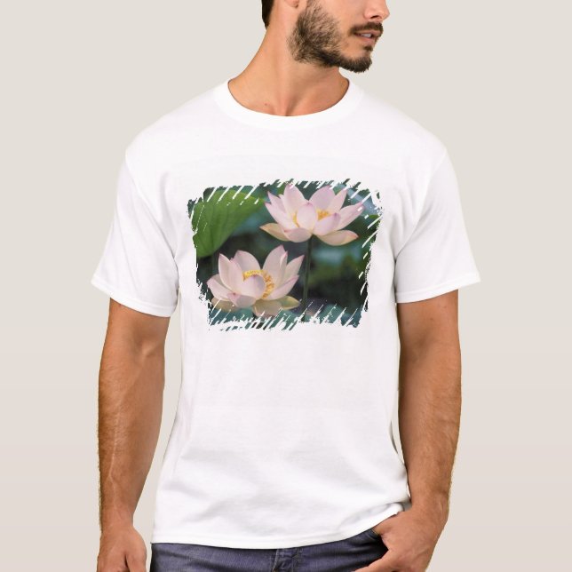 Lotusblomma i blom, Kina T-shirt (Framsida)