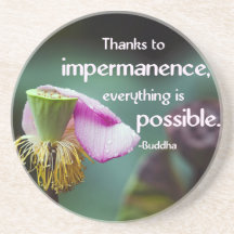 Lotusblomma/Impermanence-Buddhas