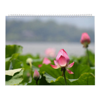 Lotusblomma Kalender