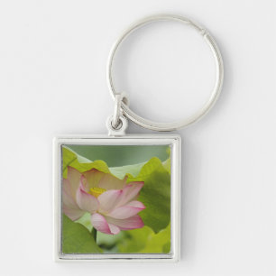 Lotusblomma, Nelumbo nucifera, Kina Fyrkantig Silverfärgad Nyckelring