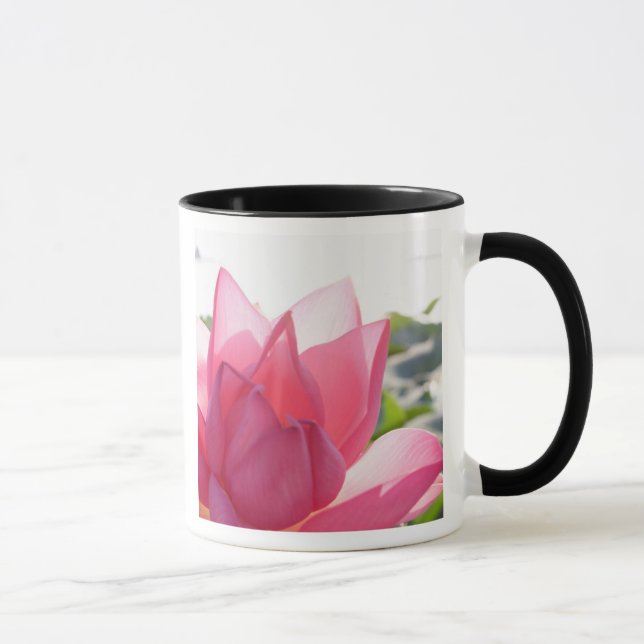 Lotusblomma [Nelumbo speciosum] i full blomning Mugg (Höger)
