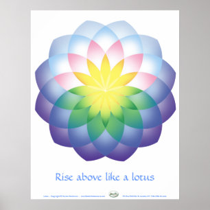 Lotusblomma Poster