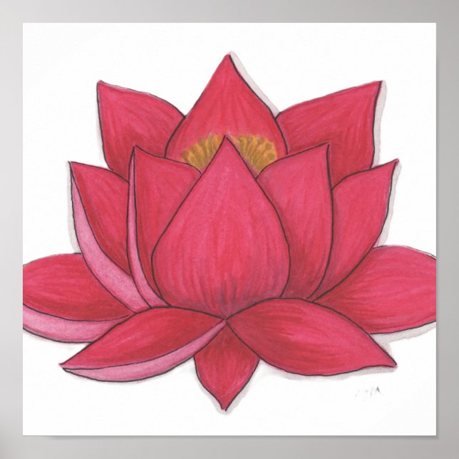 Lotusblomma Poster (Framsidan)