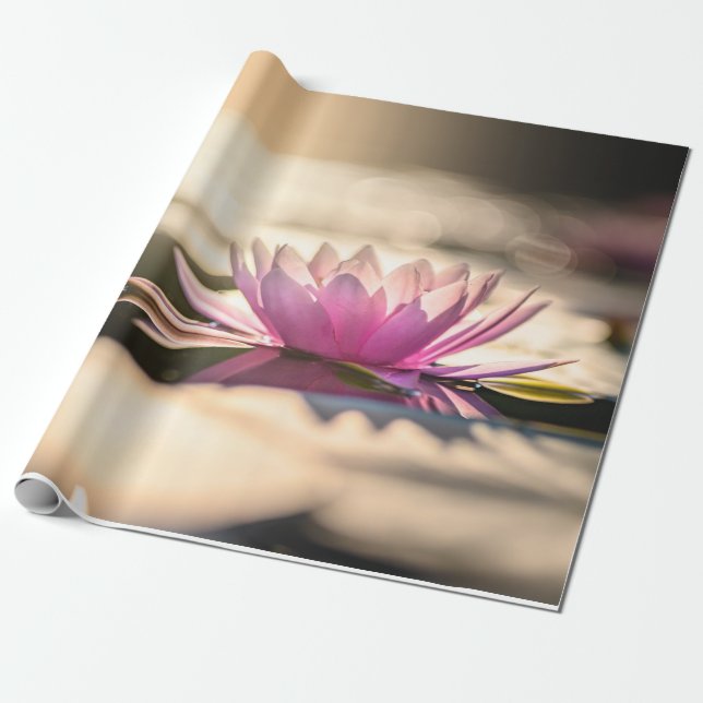 Lotusblomma, Sjö, Zen Presentpapper (Utrullad)