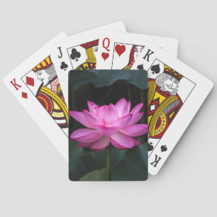 Lotusblommablomma Casinokort