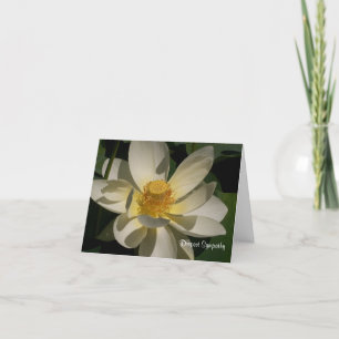 Lotusblommablomma, djupast sympati kort