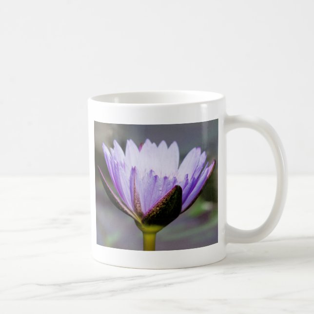 Lotusblommablomma Kaffemugg (Höger)