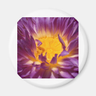 lotusblommablomma magnet