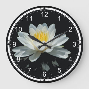 Lotusblommablomma (näckrosen) stor klocka