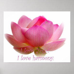 Lotusblommablomma Poster