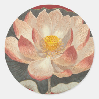 Lotusblommablommar, Lilypad, näckrosbuddistsymbol Runt Klistermärke