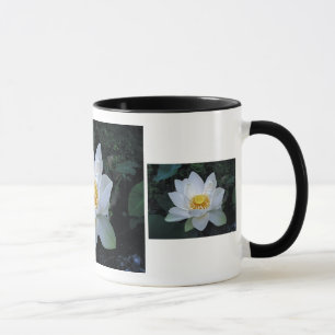 Lotusblommablommar Mugg