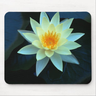 Lotusblommaflower power musmatta
