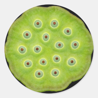 Lotusblommapodklistermärkear Runt Klistermärke