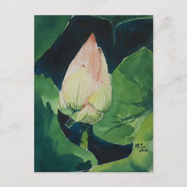 Lotusblommavykort Vykort (Framsida)