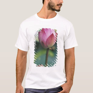 Lotusblomsbud, Hangzhou, Zhejiang-provinsen, Tee Shirt