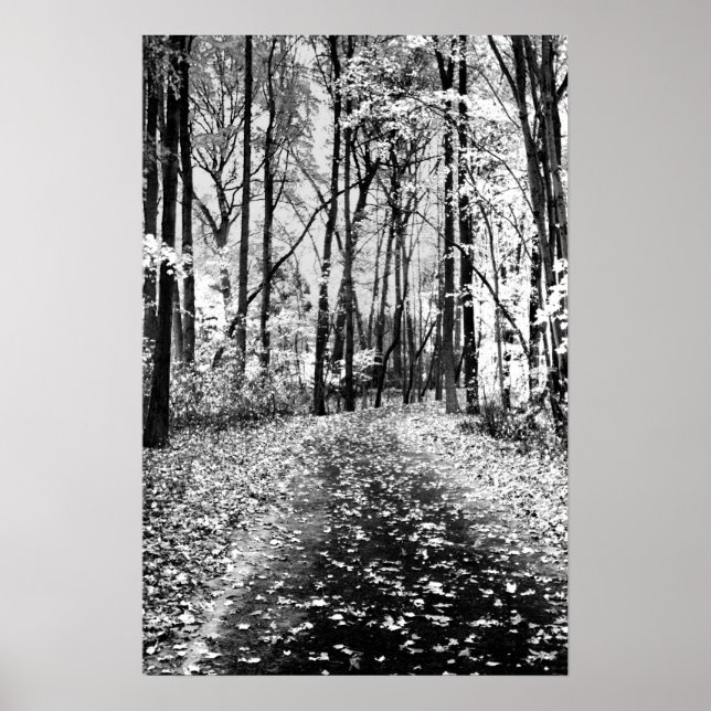 Loud Whisper Poster (Framsidan)