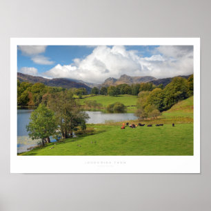 Loughrigg Tarn, distriktet Sjö Poster