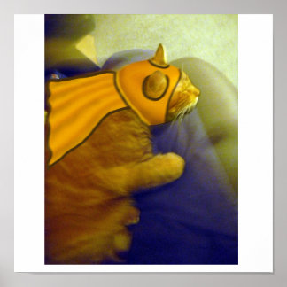 Louie Ginger Cat som kapten Me-Ow Poster