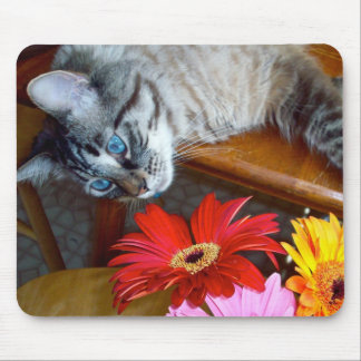 Louie katt salighet Mousepad för blomma Musmatta