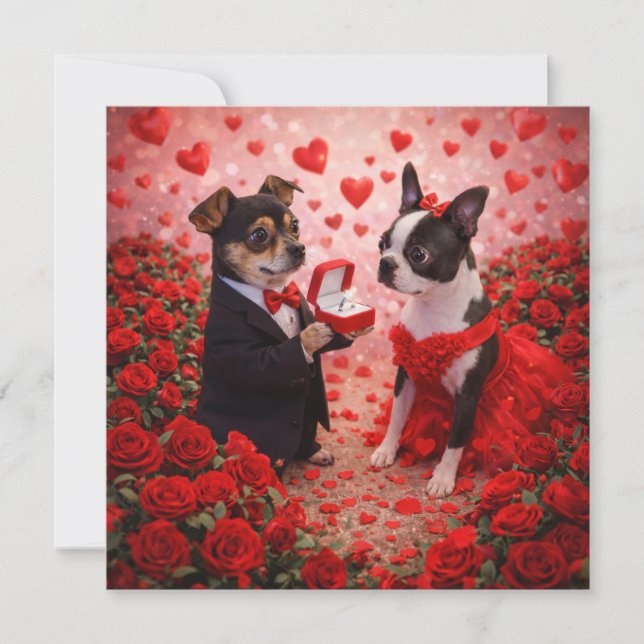 Louie & Luna önskar dig en mycket speciell dag 3 Kort (Framsida)