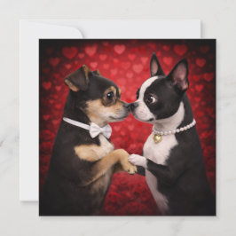Louie & Luna önskar er en glad Alla hjärtans dag 9 Kort
