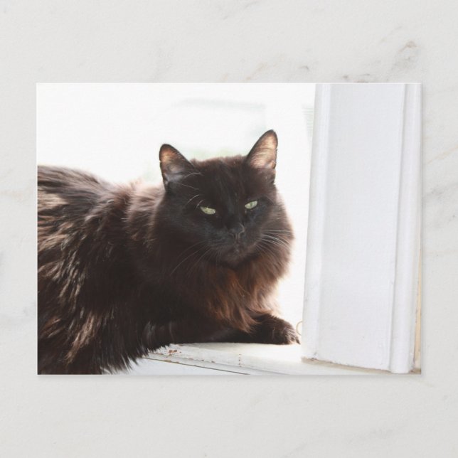 Louie Vykort (Framsida)