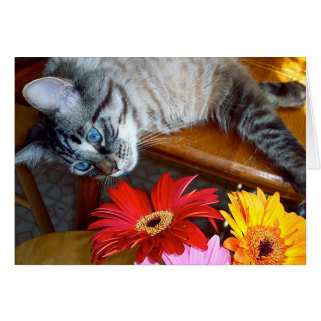 Louies blommasalighet hälsningskort (Framsidan Horizontal)