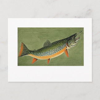 Louis Agassiz Fuertes, brook trout Art Vykort