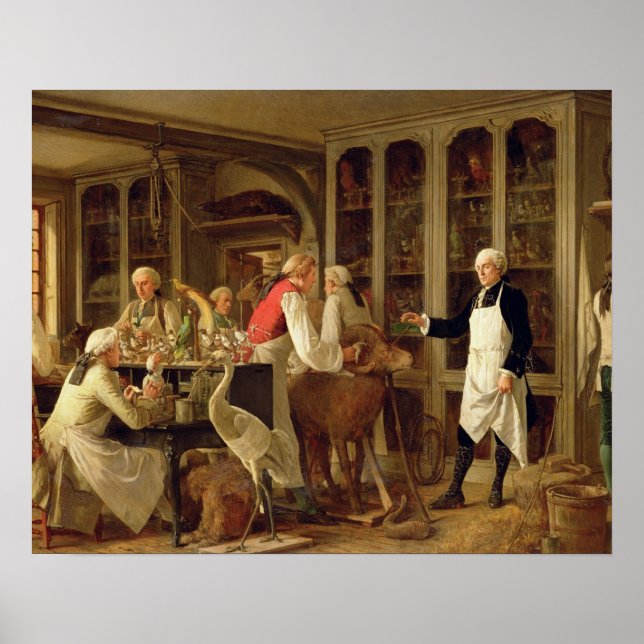 Louis Jean Marie Daubenton (1716-99) i sitt Labora Poster (Framsidan)