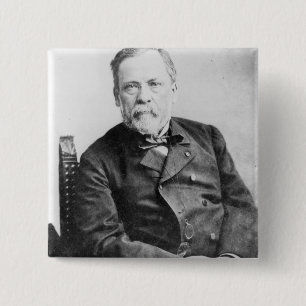 Louis Pasteur Knapp