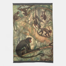 Louis Sargent, Red Faced Spider Monkey
