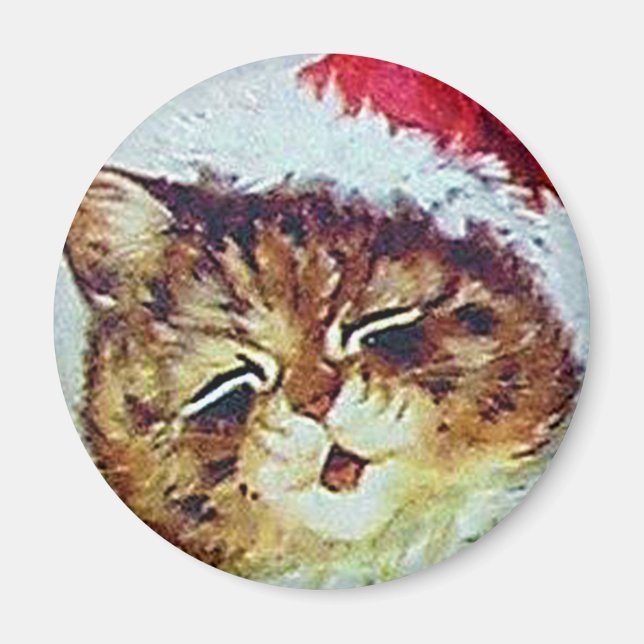 Louis Wain cat Magnet (Framsidan)