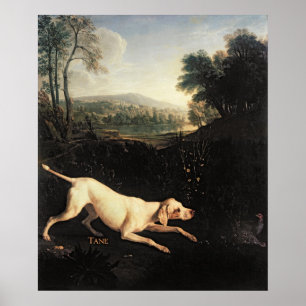 Louis XIVS hund, Tane Poster