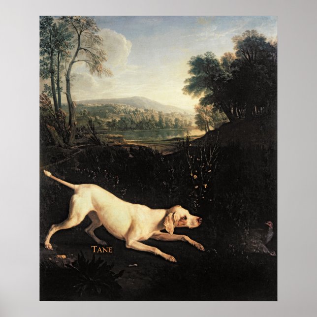 Louis XIV's Hund, Tane Poster (Framsidan)