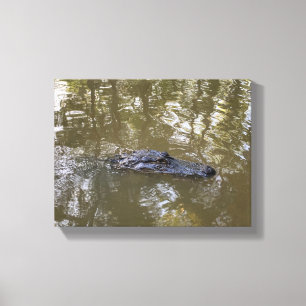 Louisiana-alligator Canvastryck