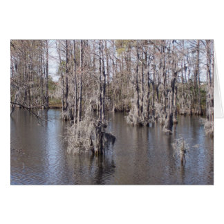 Louisiana Bayou Card Hälsningskort